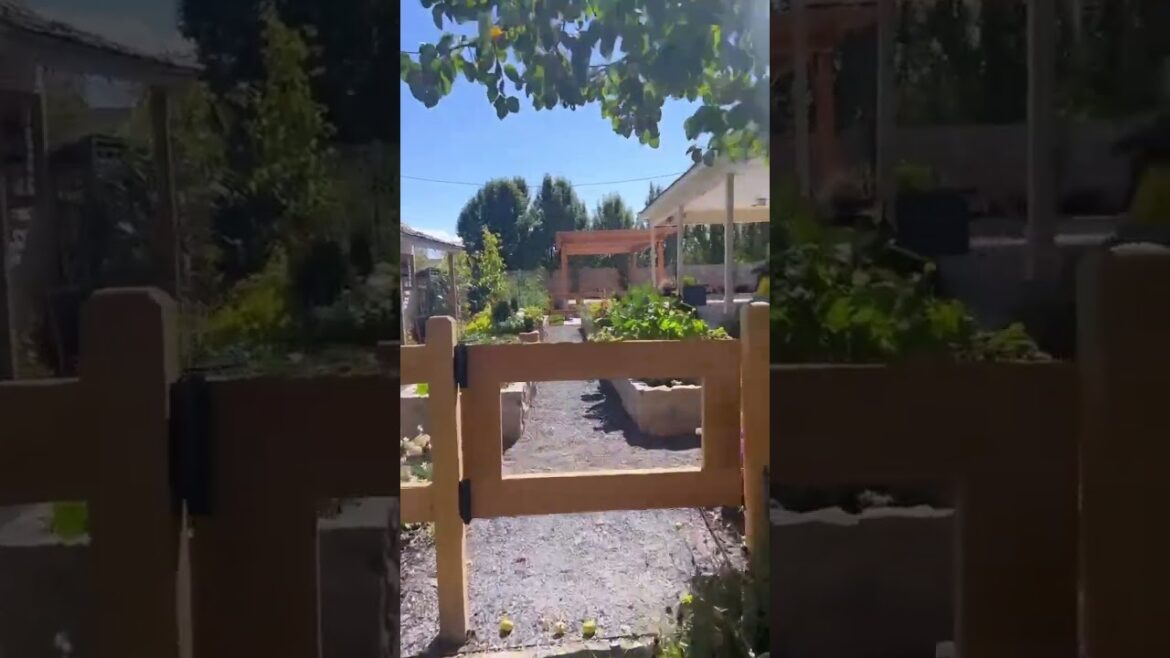 A Stroll Through Backyard Opulence: Discovering Aa Luxury Garden Retreat | #Landscaping #Gardening A Stroll Through Backyard Opulence: Discovering Aa Luxury Garden Retreat | #Landscaping #Gardening