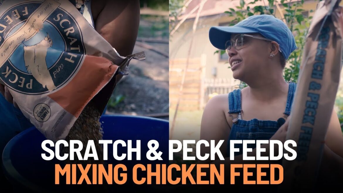 Feed & Grubs | Scratch and Peck Feeds Feed & Grubs | Scratch and Peck Feeds