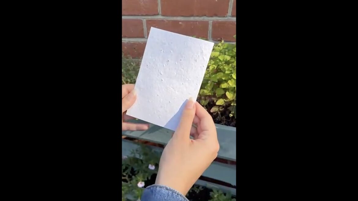 Gardening with our new plantable seed paper Gardening with our new plantable seed paper
