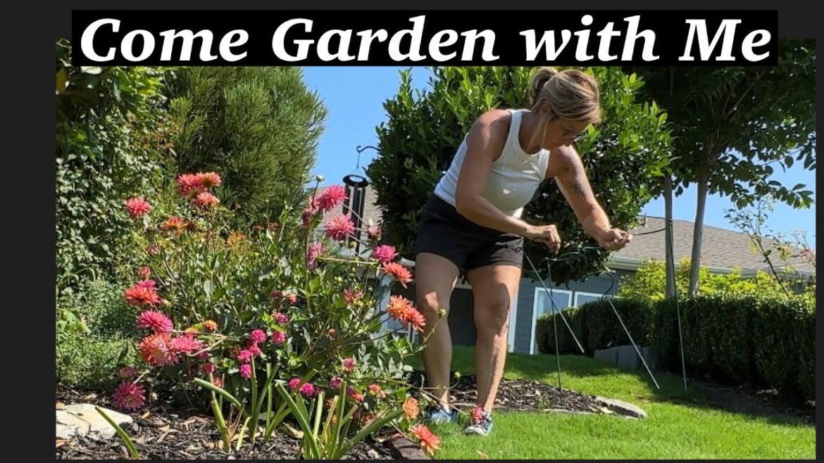 Come Garden With Me in June  Episode 1/ Gardening Tasks/ Tips
