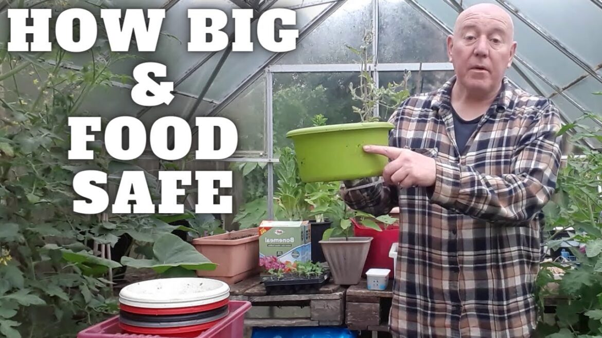 Growing In Wash Bowls Size & Safety [Gardening Allotment UK] [Grow Vegetables At Home ]