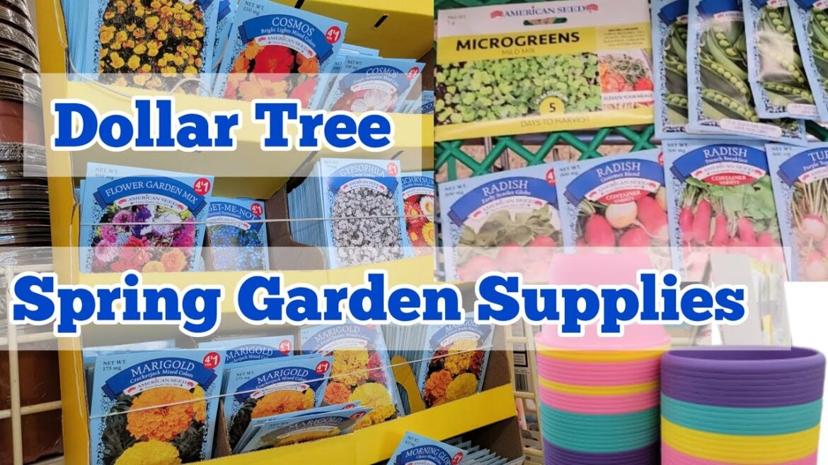 Dollar Tree Spring Garden Supplies