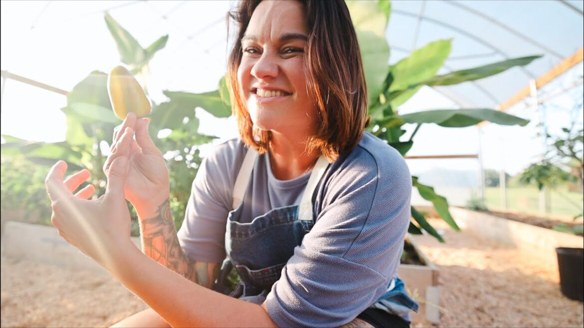 Squash Hunt and Pepper Shock (Garden to Table Harvesting and Cooking)