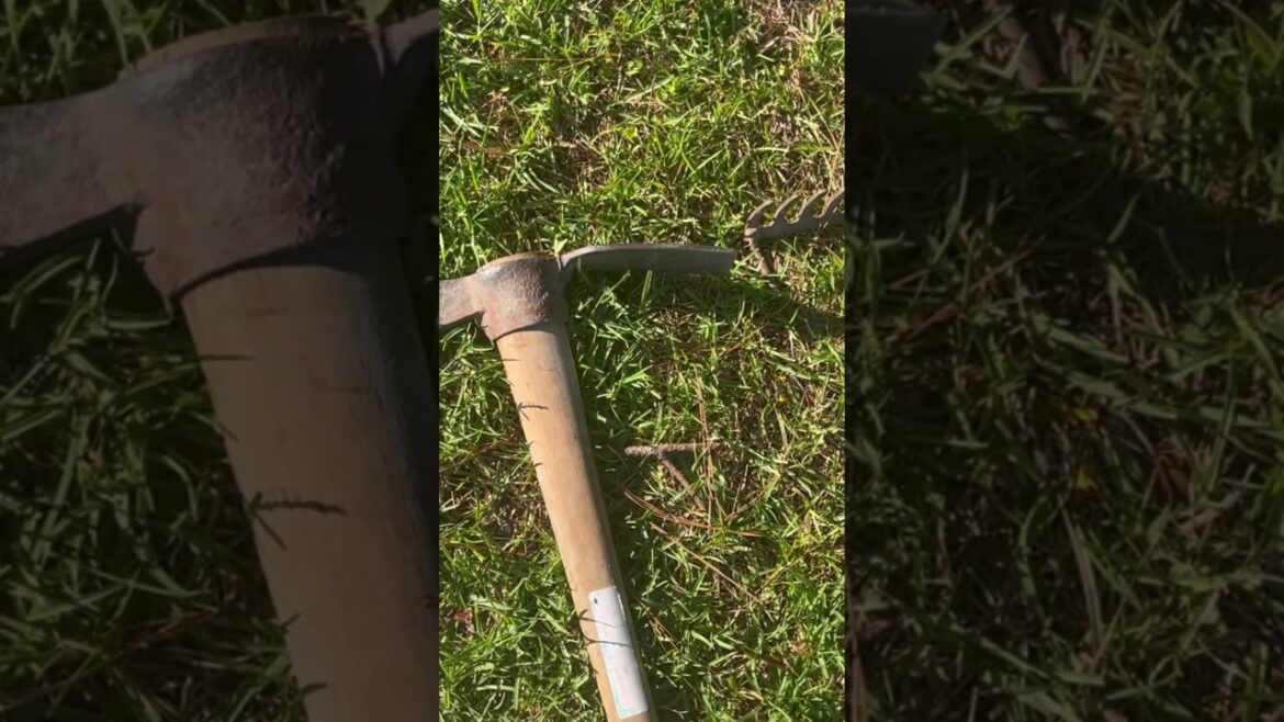 #shorts #Tools used to #Cultivate the ground for starting our garden #urbangardening #permaculture #shorts #Tools used to #Cultivate the ground for starting our garden #urbangardening #permaculture