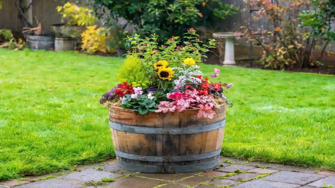 Front Yard Landscaping Ideas Uk