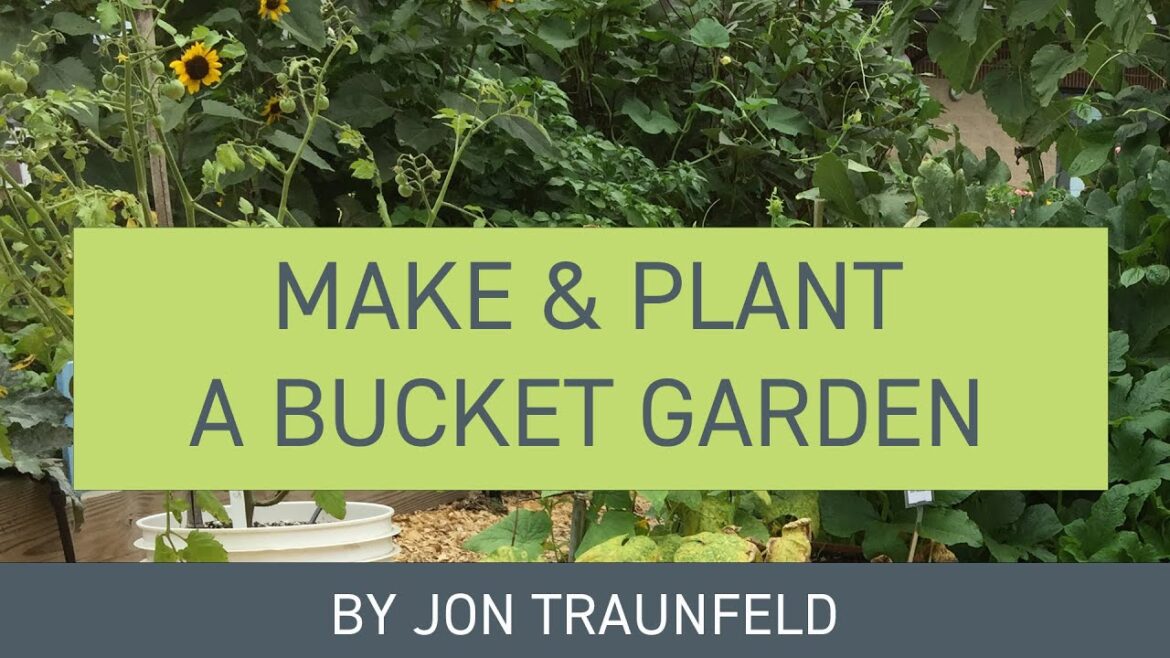 Make and Plant a Bucket Garden