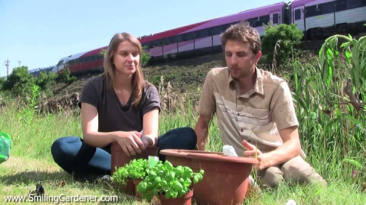 Container Gardening Series - My Favorite Organic Fertilizers