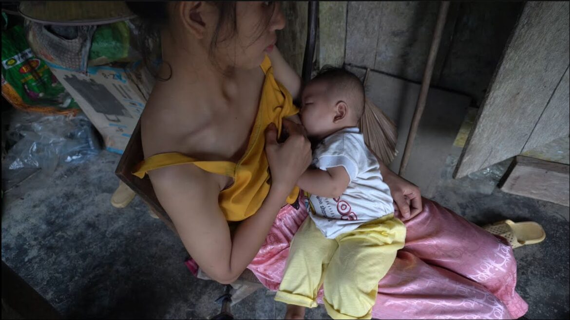 Single mom - Harvesting Vegetable Garden Goes to the market sell - Gardening