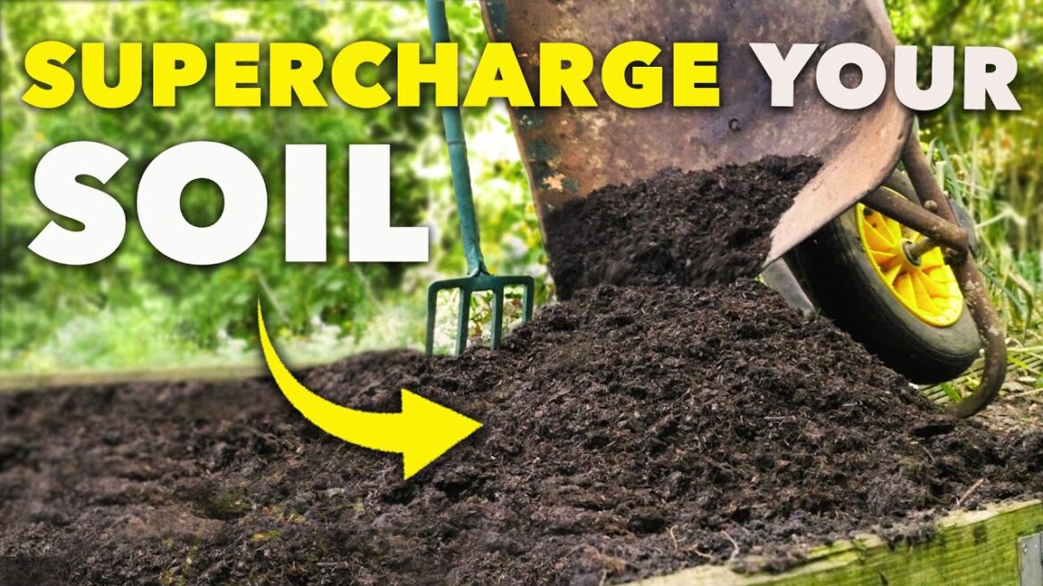 This Will Enrich Your Soil Instantly This Will Enrich Your Soil Instantly