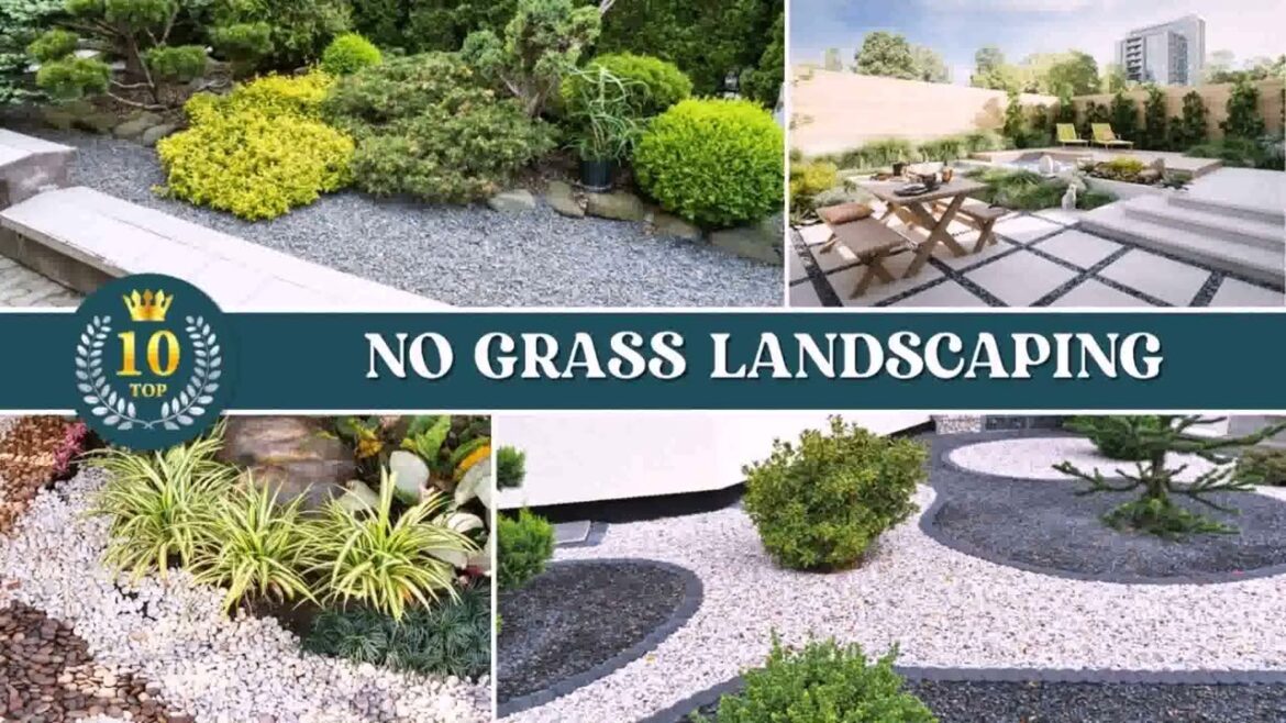 Backyard Landscape Design No Grass