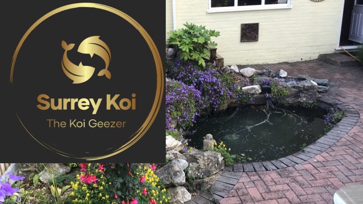 Create Your Dream Koi Pond Easily with Expert Tips for Beginners #koi #koipond #garden  #hobby