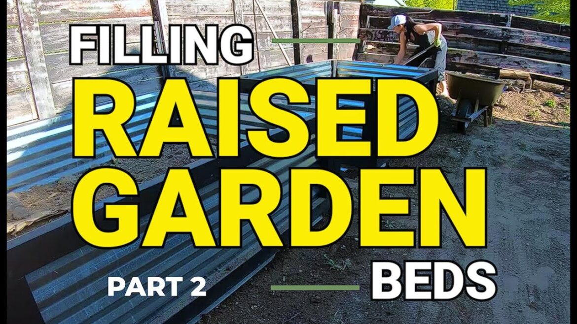 Garden Design 2023 – PART TWO | Filling Raised Garden Beds TIMELAPSE Garden Design 2023 - PART TWO | Filling Raised Garden Beds TIMELAPSE