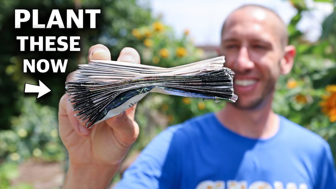 25 Crops You Can Plant In August!