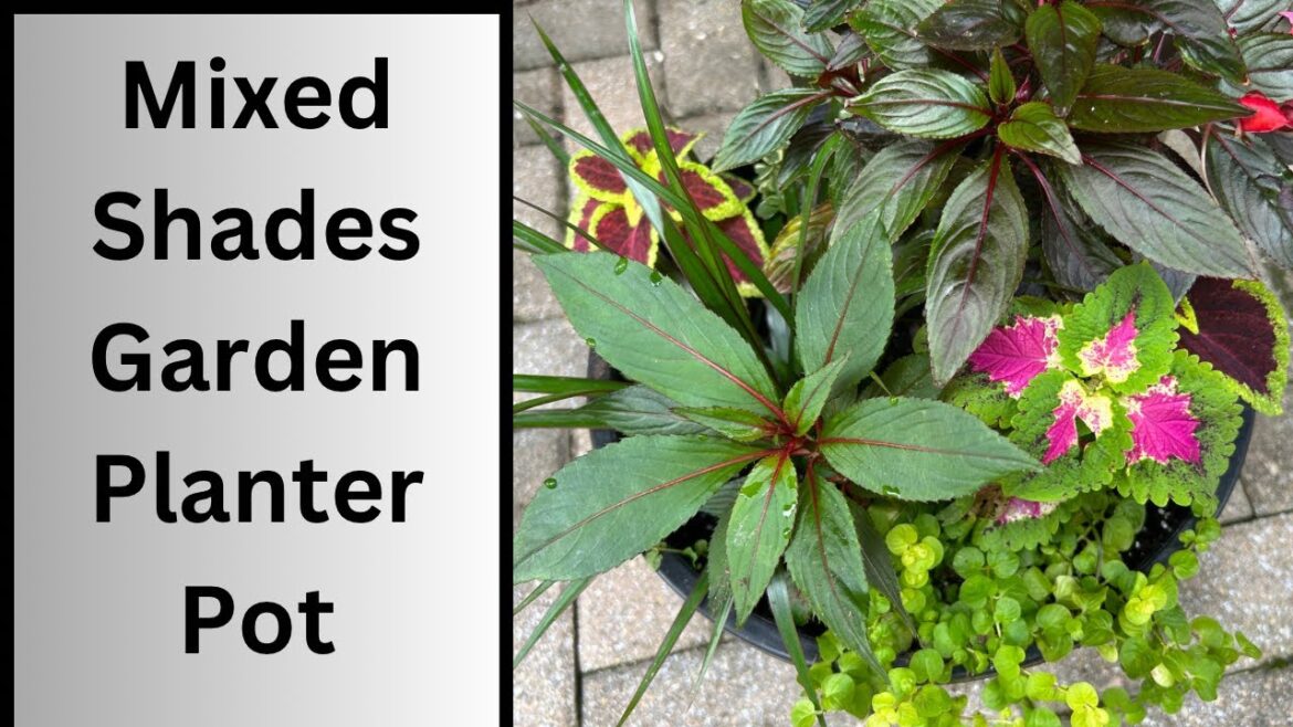 Simple Shade Planter |Mixed Shade Garden Planter | Make a Container Garden for Shades |
