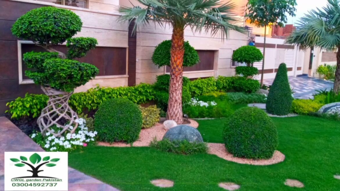 Creative Landscape design  Outside garden Design Ideas Unique Stone design and Korean grass