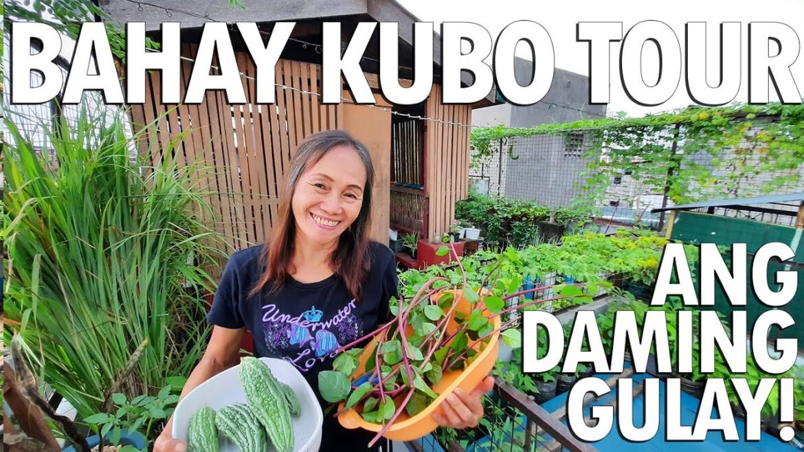 PEST CONTROL TIPS + URBAN BAHAY KUBO TOUR (ANG DAMING TANIM!) VEGETABLES HARVESTING Haydee's Garden