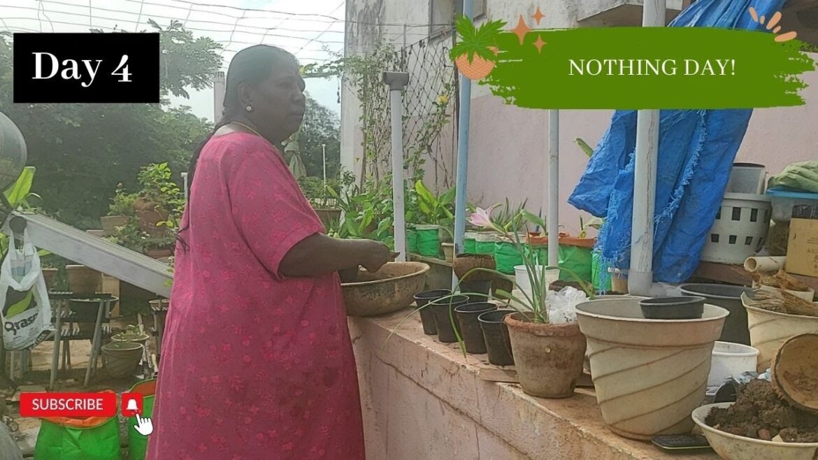 Place got spoiled again – Change of plans – Planted few seeds | Vlog Day 4. #garden Place got spoiled again - Change of plans - Planted few seeds | Vlog Day 4. #garden