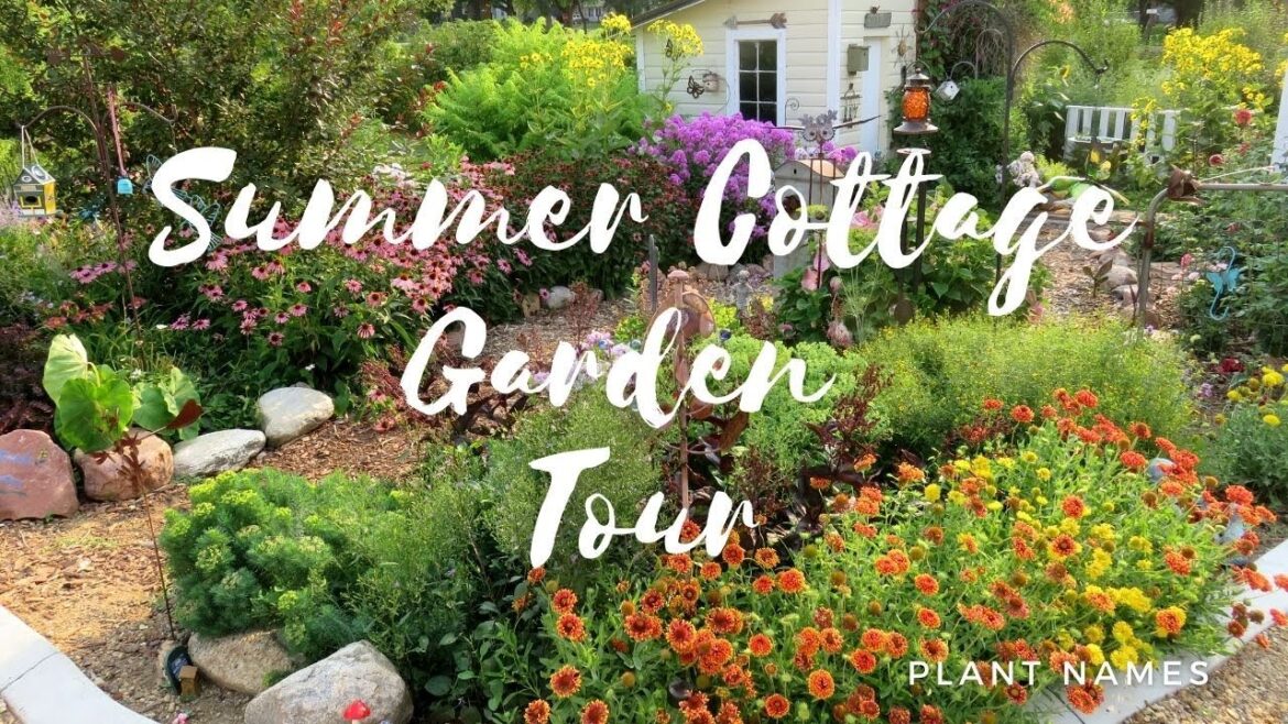 Small Backyard Cottage Style Garden tour | Midsummer garden 2021 |Tranquil & beautiful + plant names