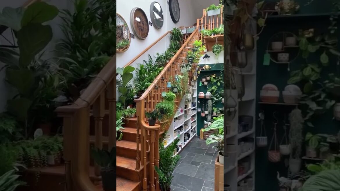 Vertical Gardening Made Easy |Home Decor| jardinage vertical