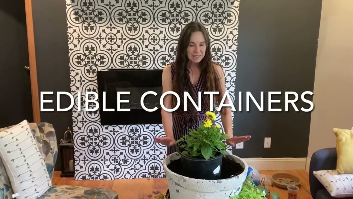 Creating a 🌺Gorgeous Edible Container 🌺 // From Campbell’s Freedom Farm Creating a 🌺Gorgeous Edible Container 🌺 // From Campbell’s Freedom Farm
