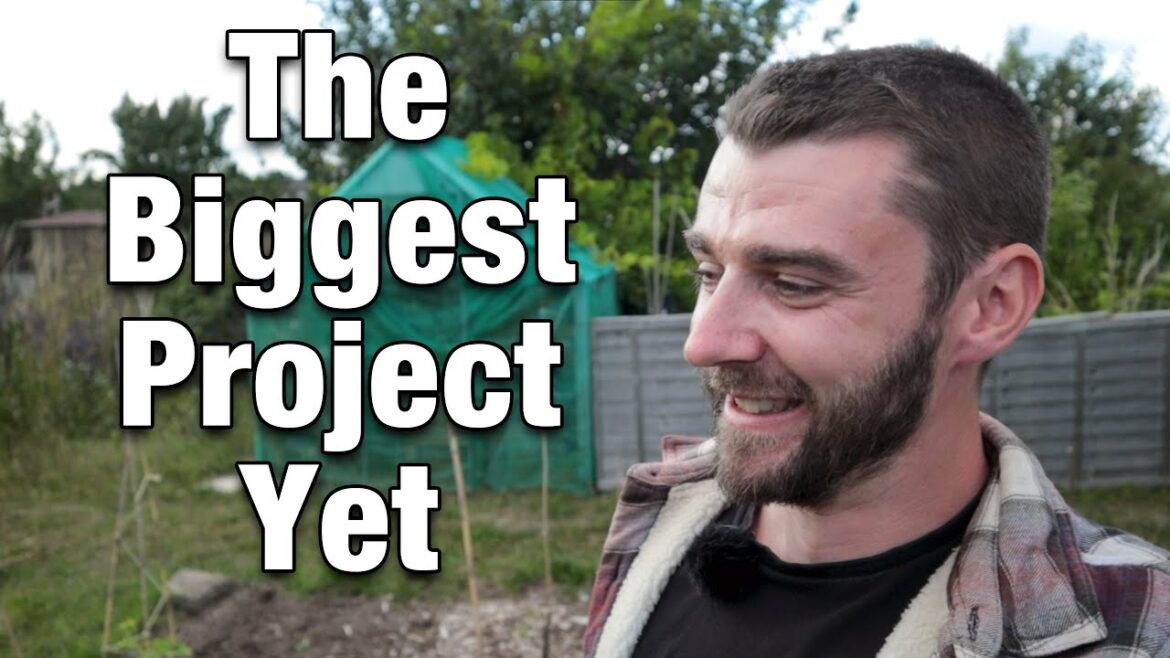 The Announcement The Announcement