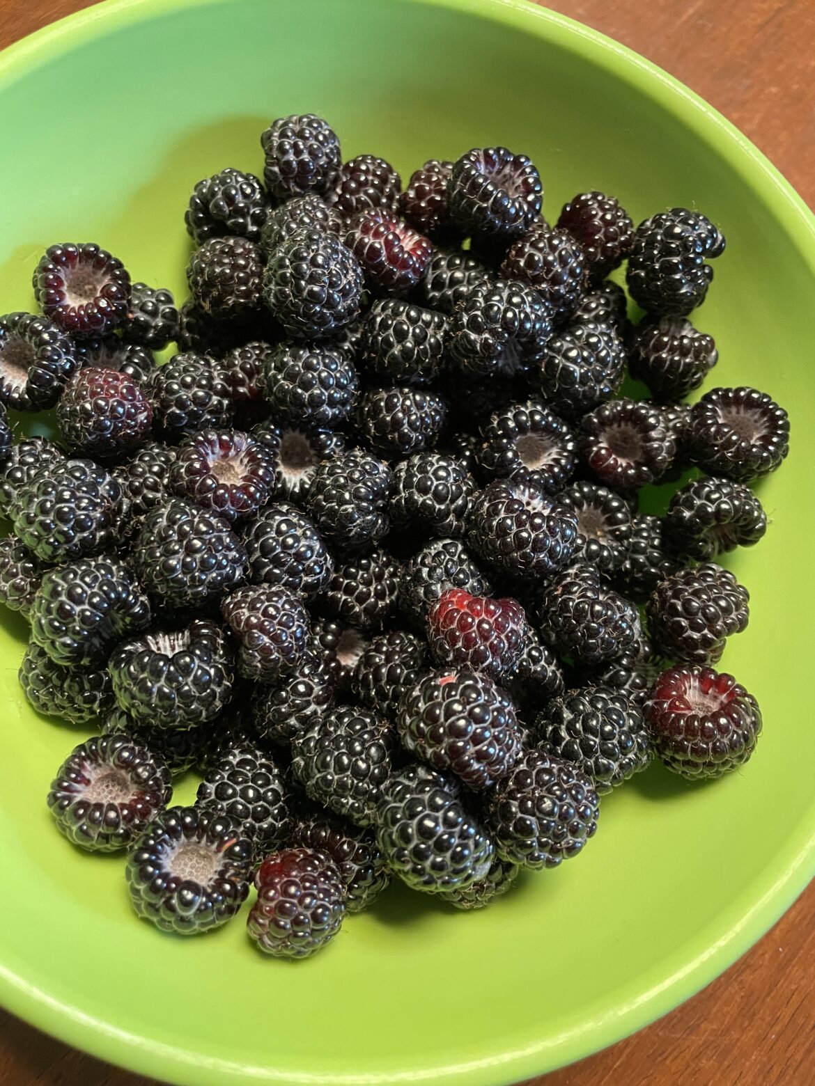 Black raspberry season has officially started