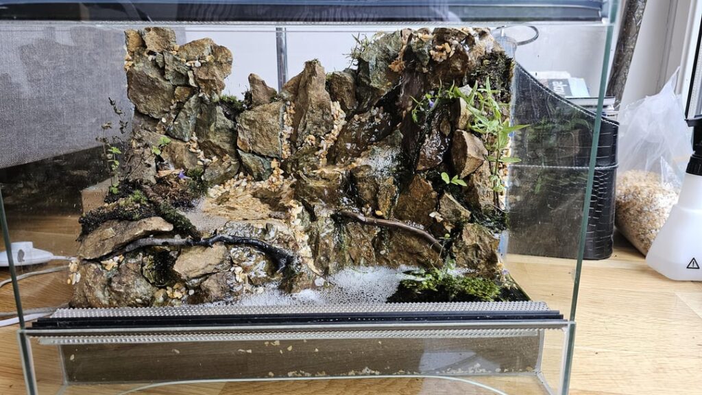 2nd one. Trying to go more natural 2nd one. Trying to go more natural