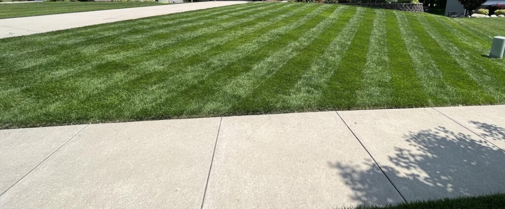 Freshly mowed