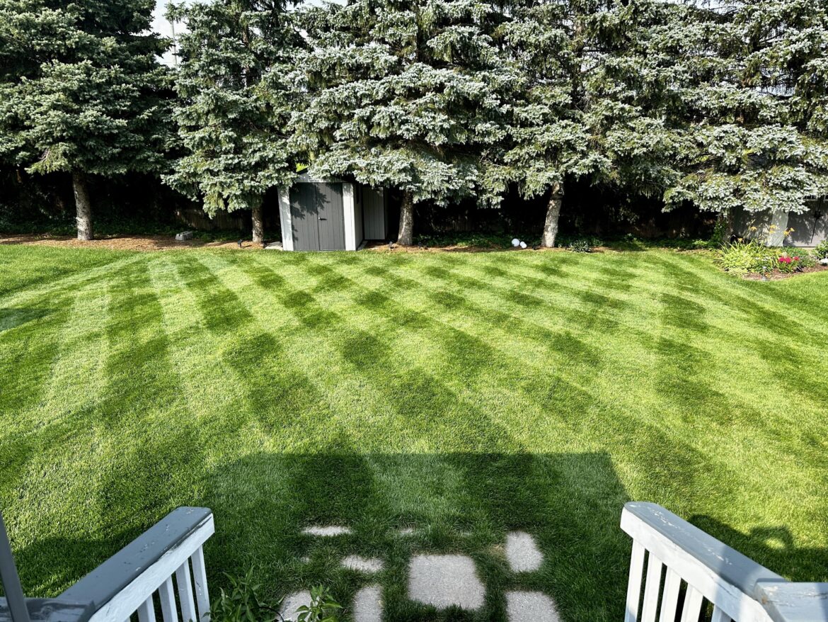 Diamonds in Ontario. 3” Rotary Cut, Mostly KBG