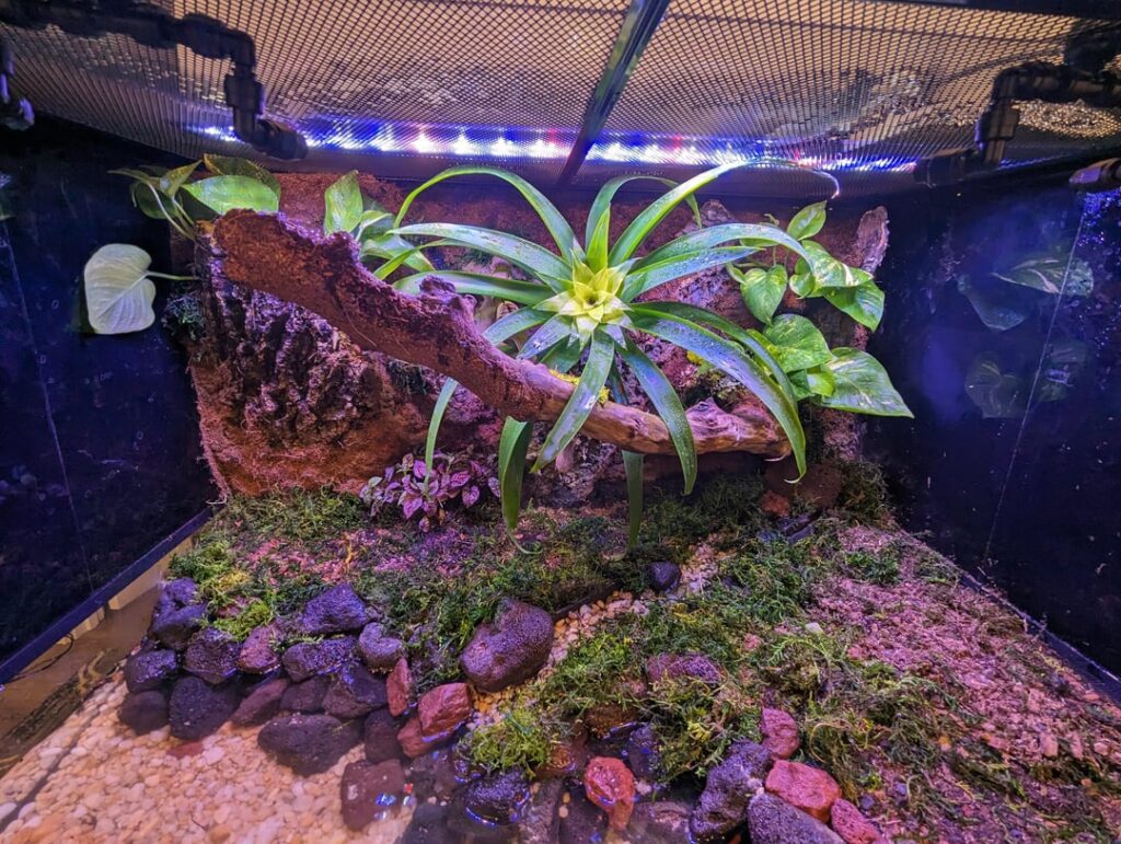 My new Paludarium with a small stream is finally ready, can't wait to get it fully planted