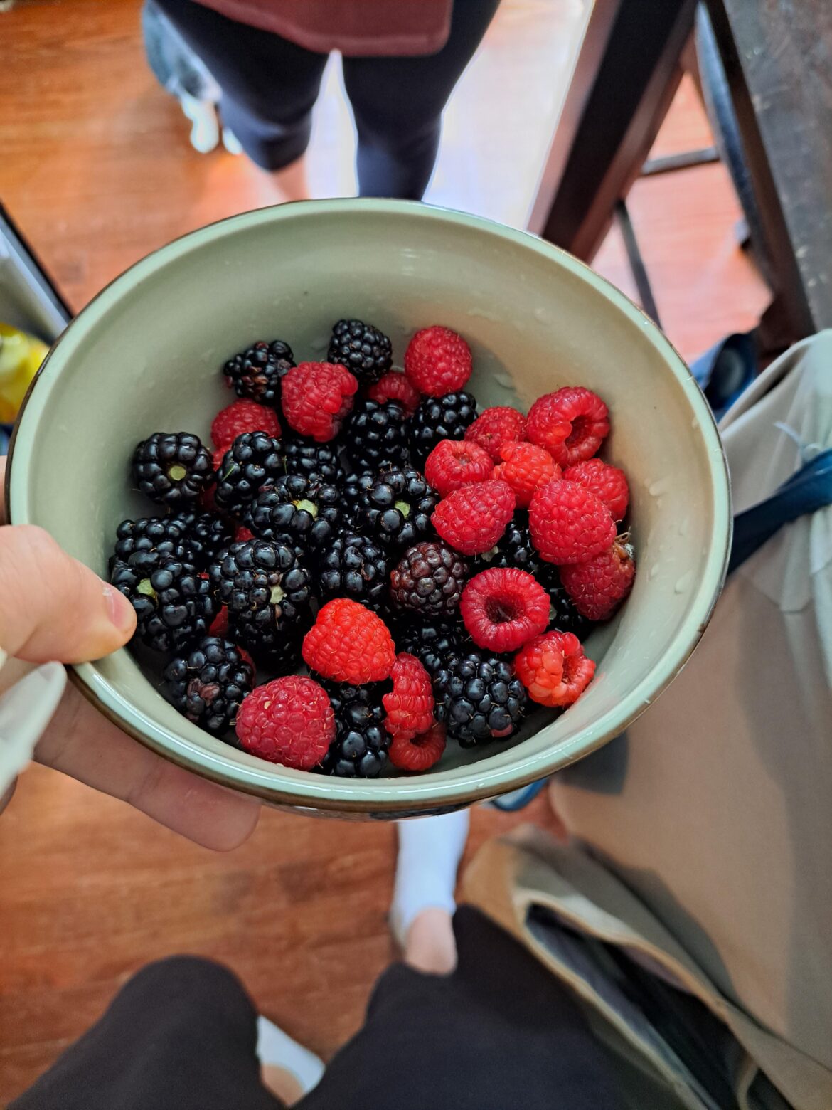 This mornings haul