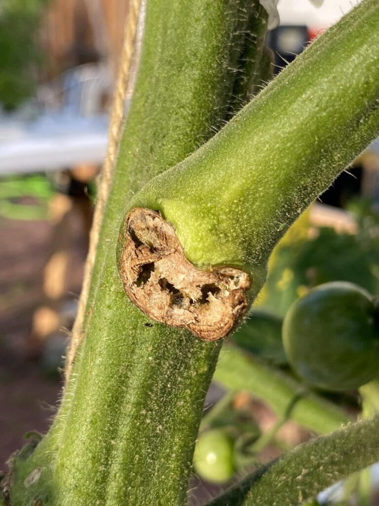 This is bad isn’t it lol