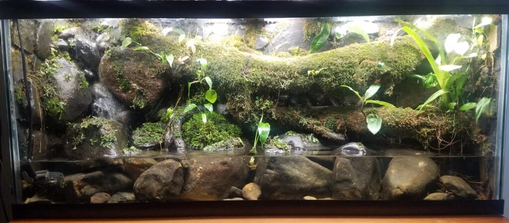 Two plant shippments later and itll be done. Might have to click to see full image