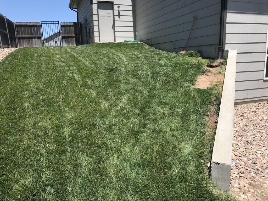 Suggestions for this Steep area beside house