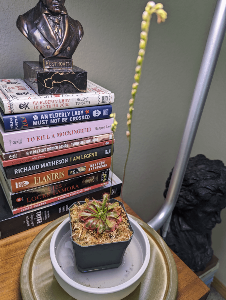 This little thing has three flowers on it! 😍