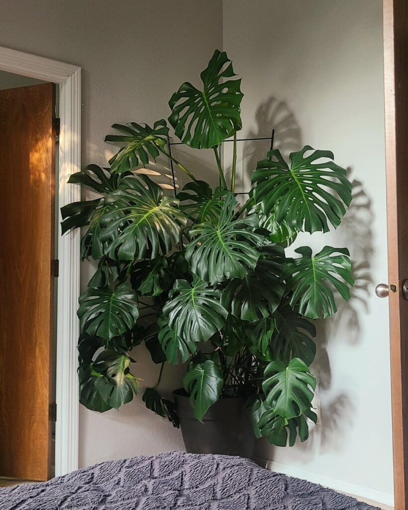 First thing I see when I wake up.