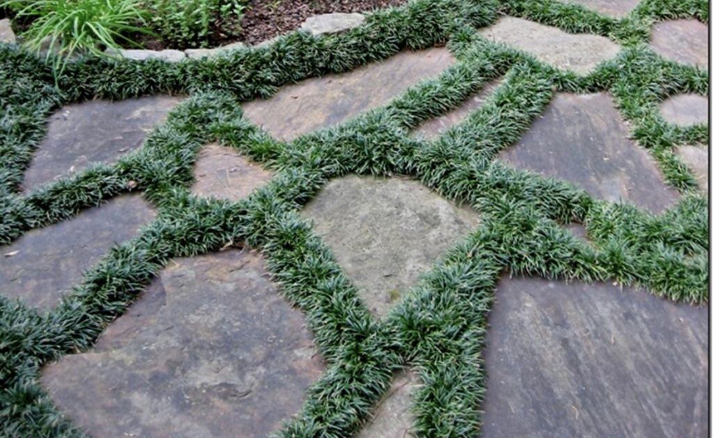 Question – What is the best practice method? Question - What is the best practice method?