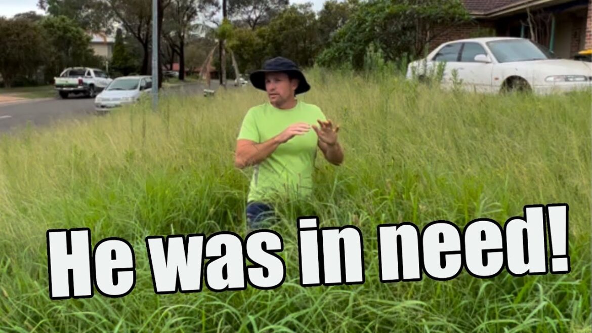 Free Yard Clean Up For A Man In Need That Went Viral! Free Yard Clean Up For A Man In Need That Went Viral!