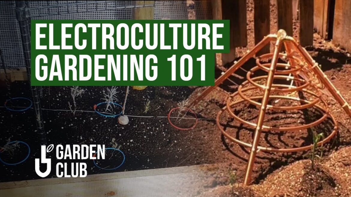 How to Start With ⚡️ELECTROCULTURE Gardening