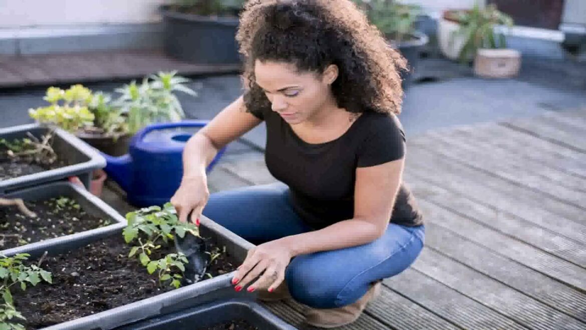 Container Vegetable Garden Design Ideas