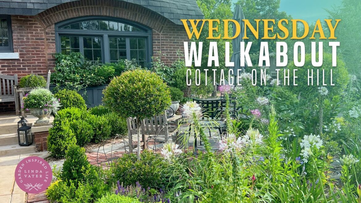 A True Cottage Garden Tour A True Cottage Garden Tour