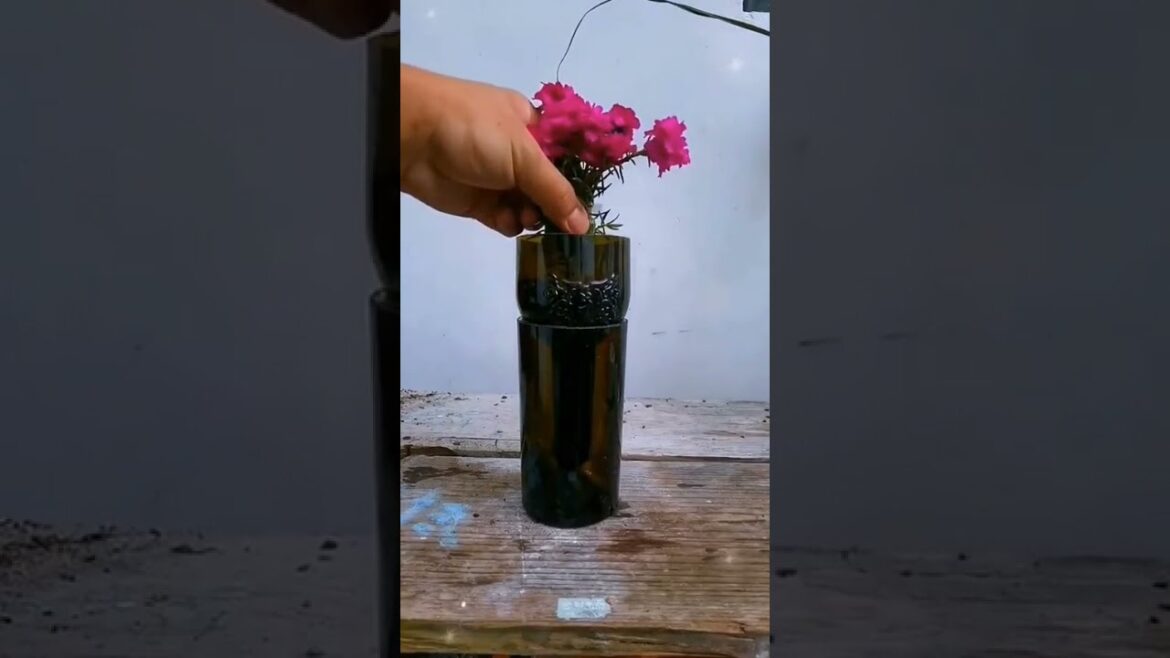for gardening purpose empty glass bottles can be used in this way #shorts #gardenlife #viralshorts for gardening purpose empty glass bottles can be used in this way #shorts #gardenlife #viralshorts