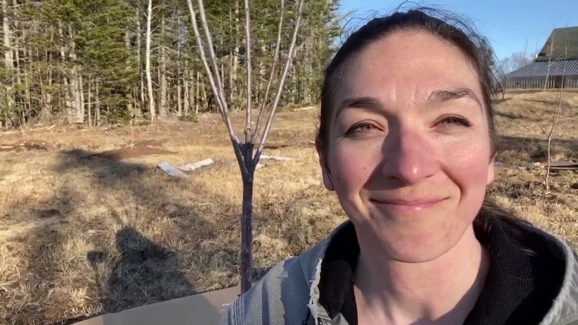 How to Properly Mulch Around Trees - Early Spring Gardening Chore