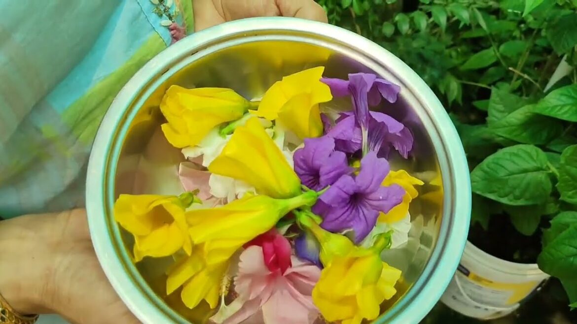 बरसात के पानी से कैसे बचाये || वाह जी वाह आदिशंकराचार्य पुष्प || MySweet Garden || My Best Garden