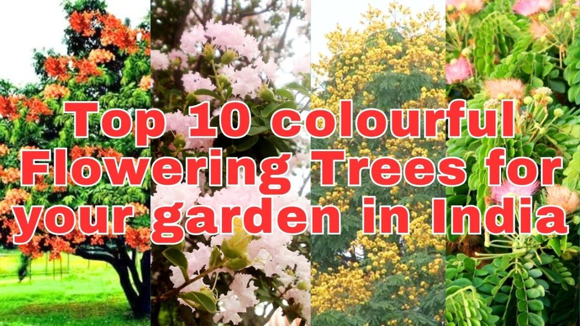 Top 10 colourful Flowering Trees for your garden in India Top 10 colourful Flowering Trees for your garden in India