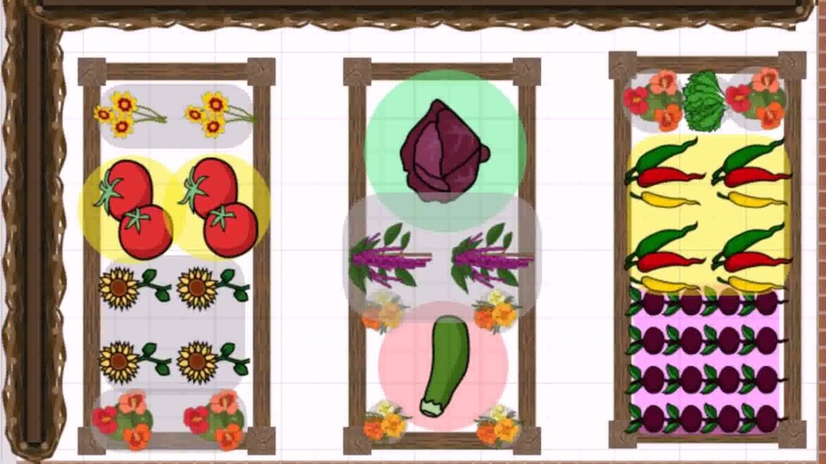 Patio Vegetable Garden Design Ideas