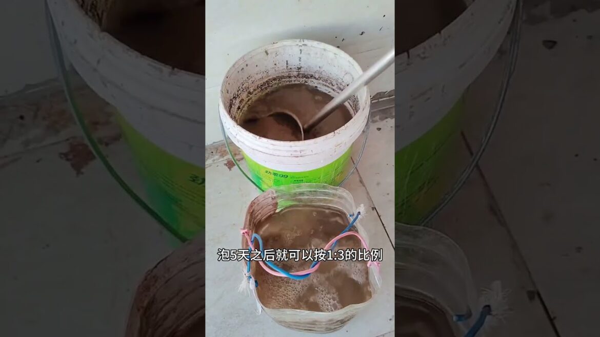 Growing garden vlog by meimei #short #vegetable