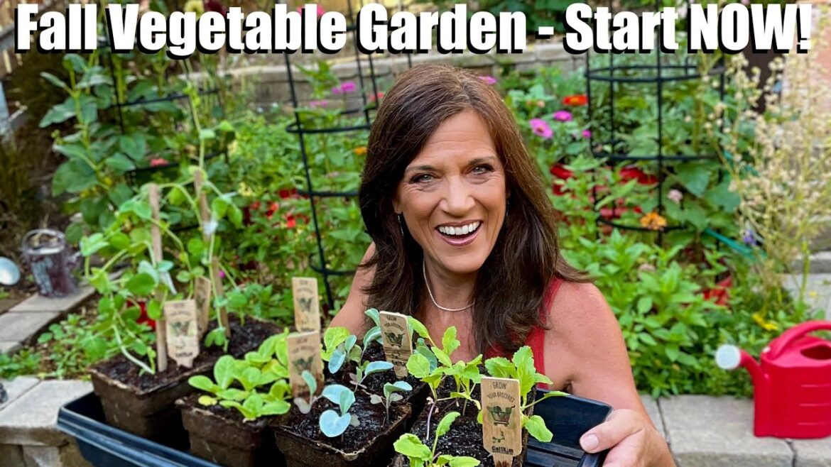 CaliKim: Fall Vegetable Garden – Why You Need to Start NOW! Fall Vegetable Garden - Why You Need to Start NOW!
