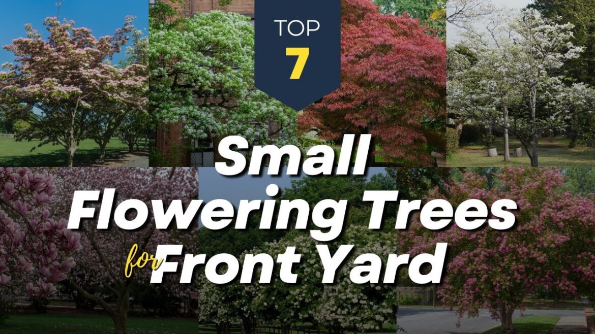 Best 7 Small Flowering Trees for Front Yard ๐ณ๐ก Beautify Front House Garden! ๐ธ๐ Best 7 Small Flowering Trees for Front Yard ๐ณ๐ก Beautify Front House Garden! ๐ธ๐