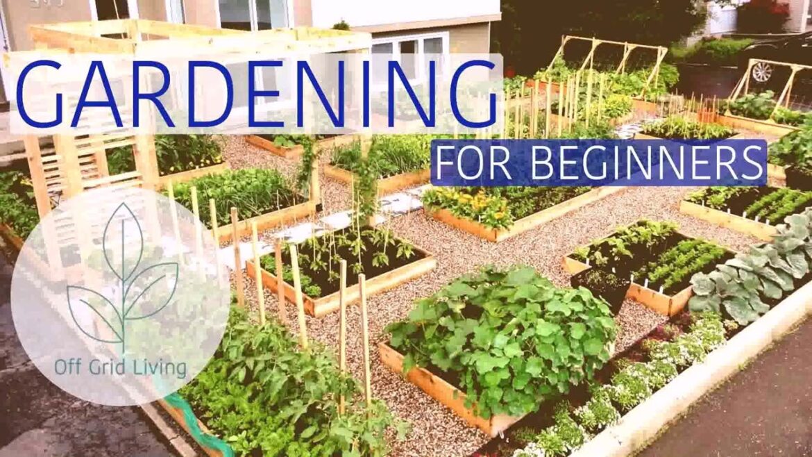 Vegetable Gardening Design Ideas